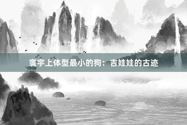 寰宇上体型最小的狗：吉娃娃的古迹