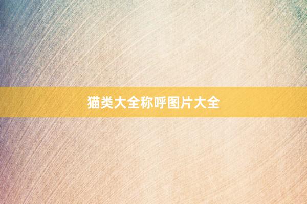 猫类大全称呼图片大全